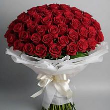 Букет 101 Красная роза Блэк Мэджик в Глебовский