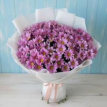 Букет цветов из:  Хризантемы #REPLACE_PRED# Глебовский
