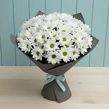 Букет цветов из:  Хризантемы #REPLACE_PRED# Глебовский