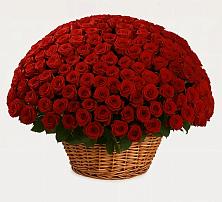 Премиум букет из: Розы в Глебовский